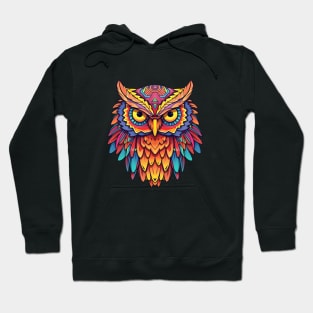 owl colorful Hoodie